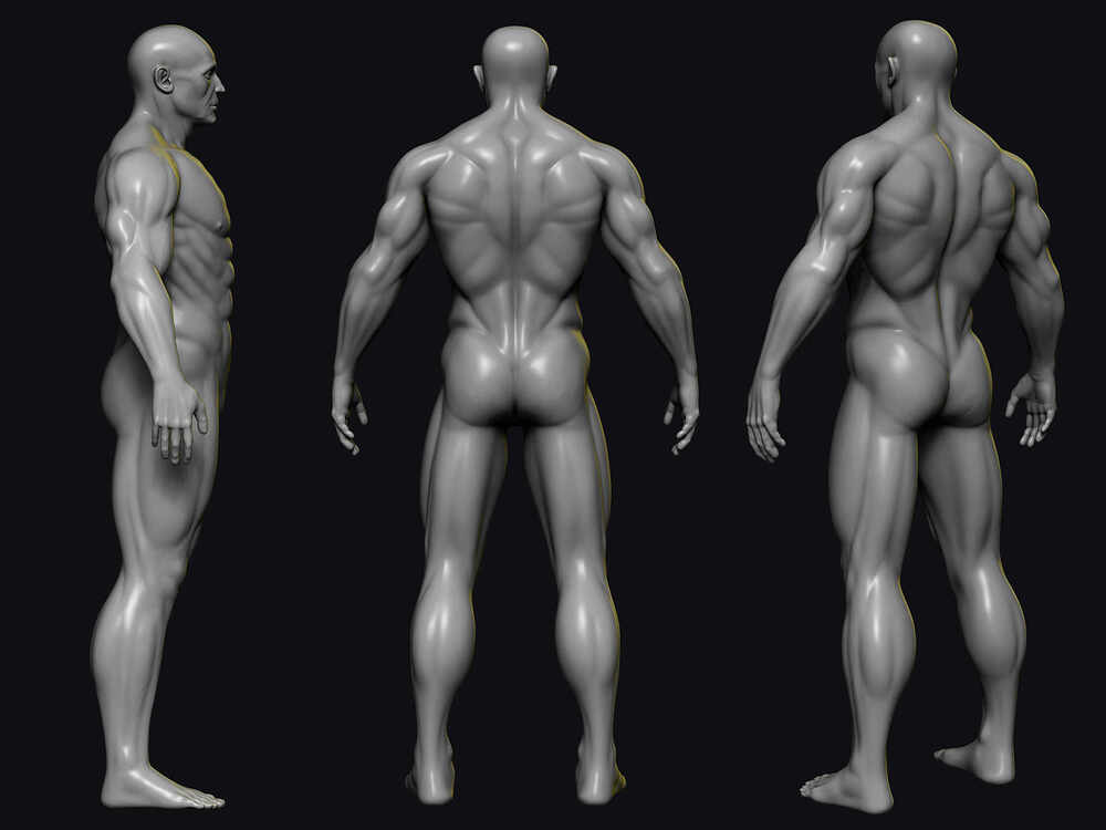 Back_Render