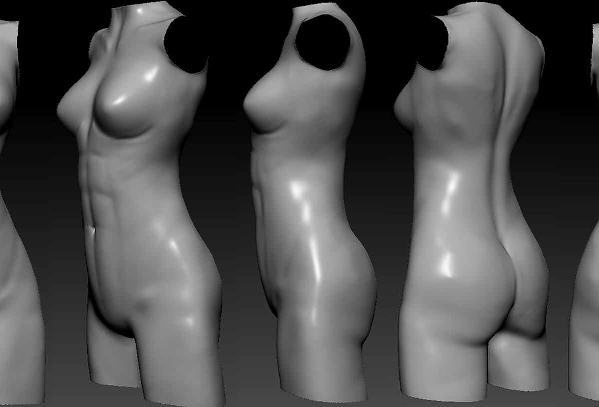 torso.jpg