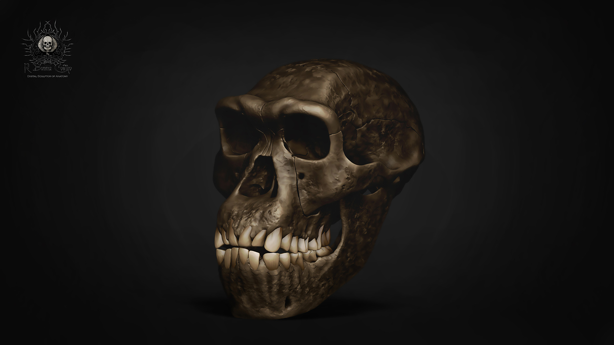 render 1