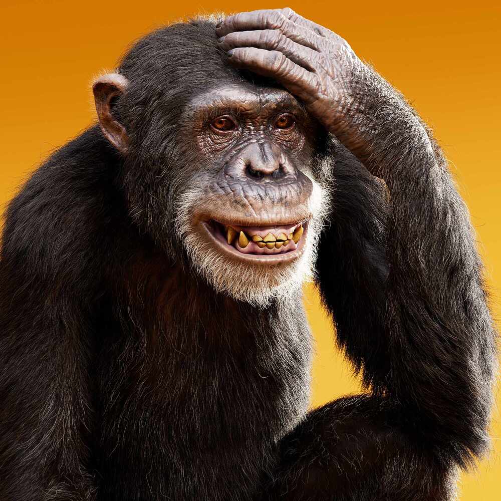 ape_render_ACES_02