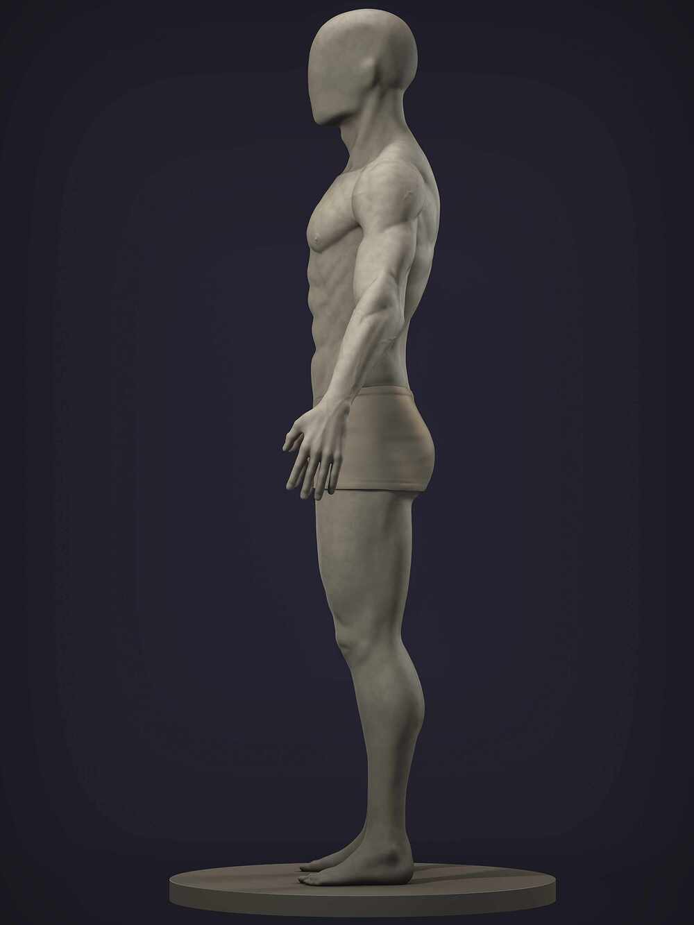 anatomy03