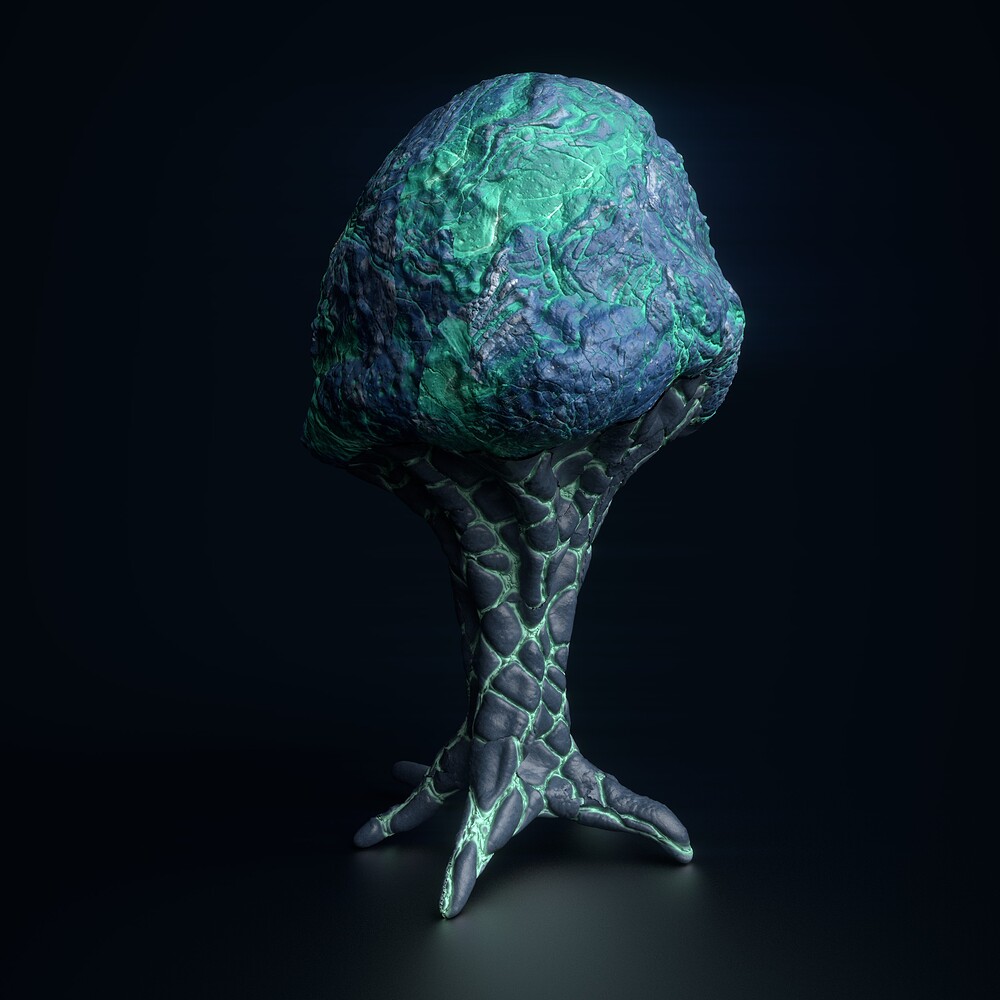 mushroom5