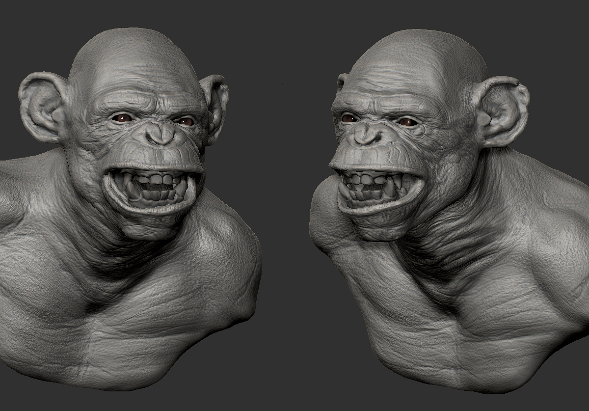 chimp_turn.jpg