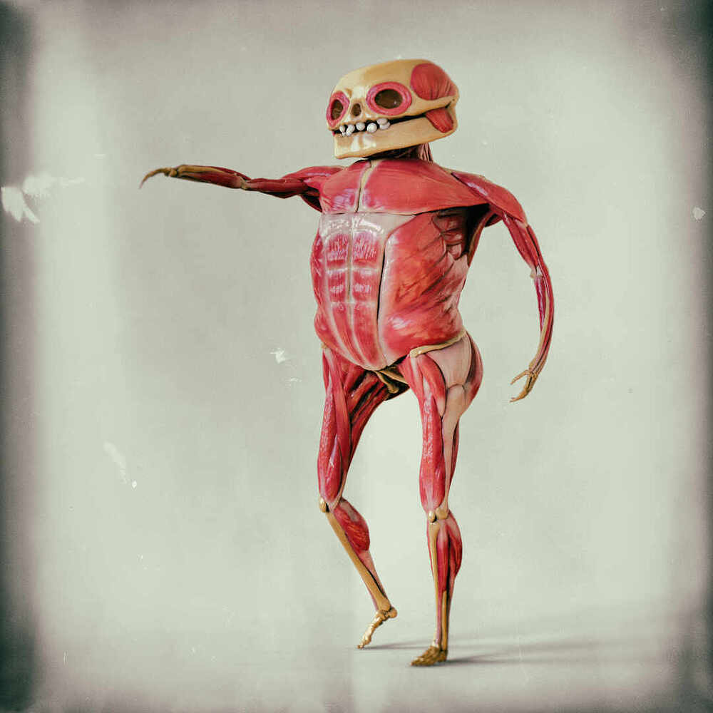 EcorcheColorFullBody