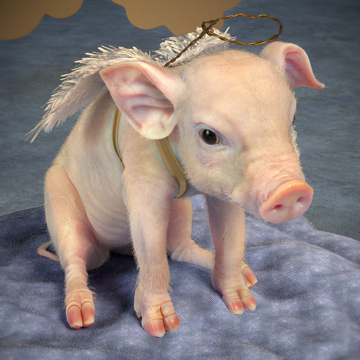 LittlePig_1.0009