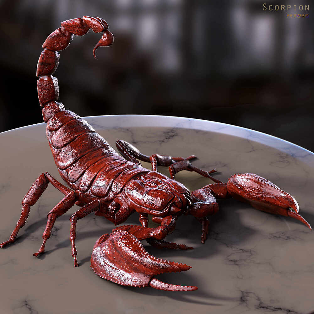 Scorpion_Digital_Sculpture_SurajitSen_Oct2024g