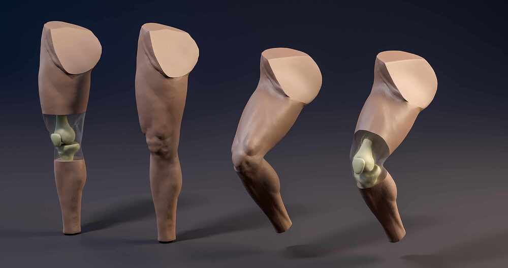 Leg_all_06