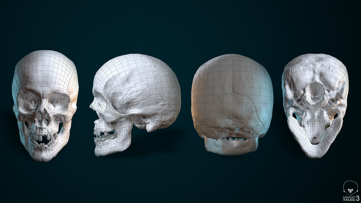 Skull_wireframe_01