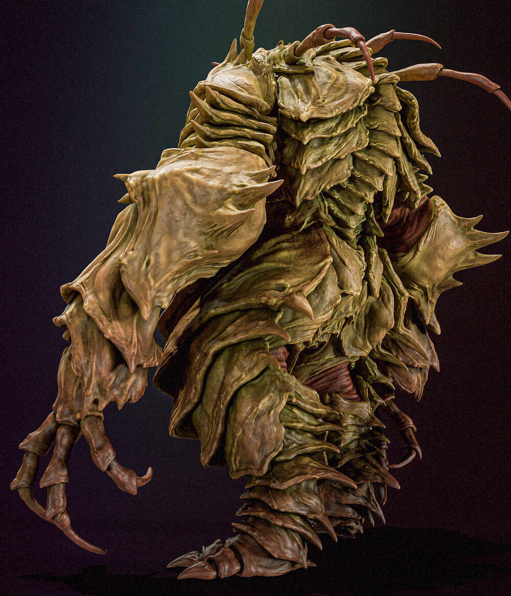Insects_013