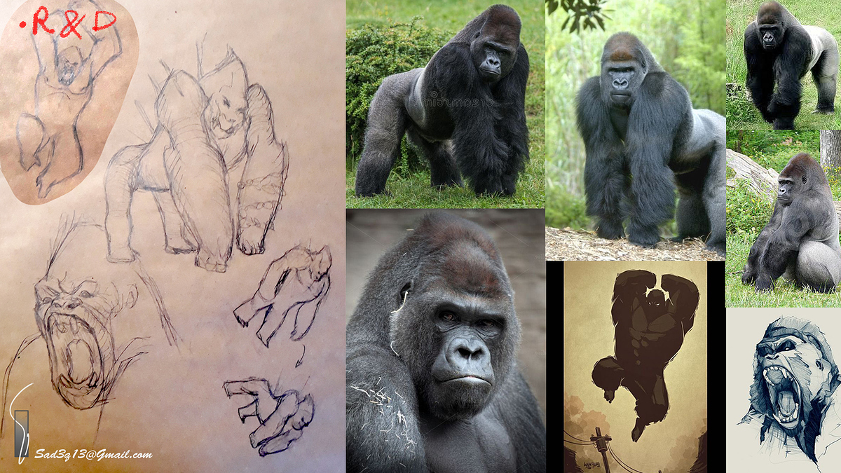 ResearchAdnSketch