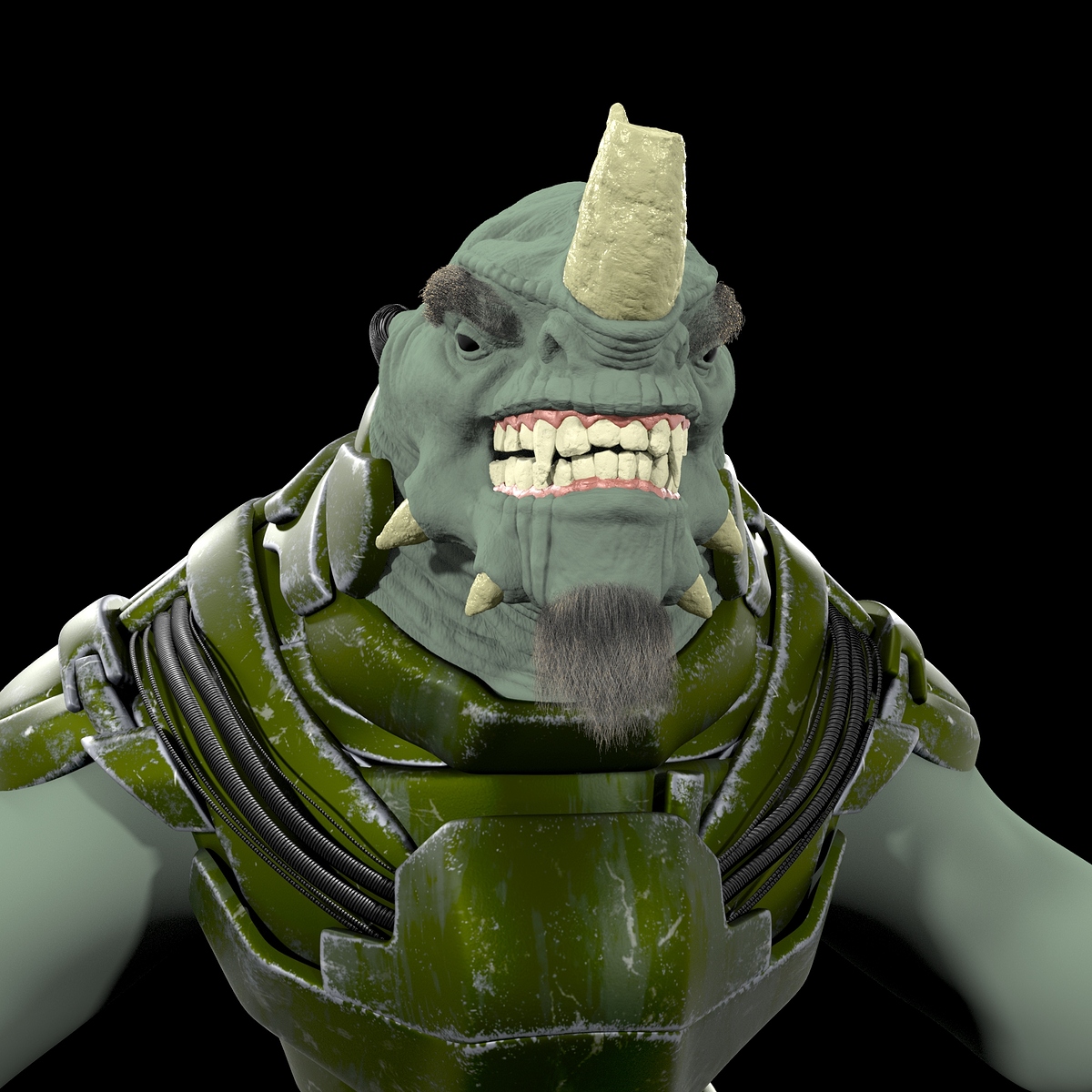 Rhino_0005