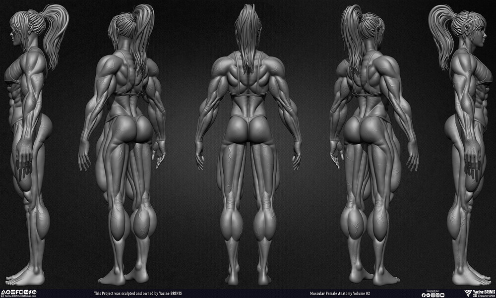 Muscular Female anatomy Volume 02 sculpted by Yacine BRINIS 002