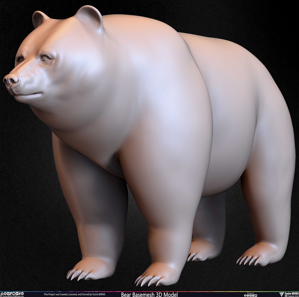 Bear Basemesh 3D Model Sculpted by Yacine BRINIS Set 039
