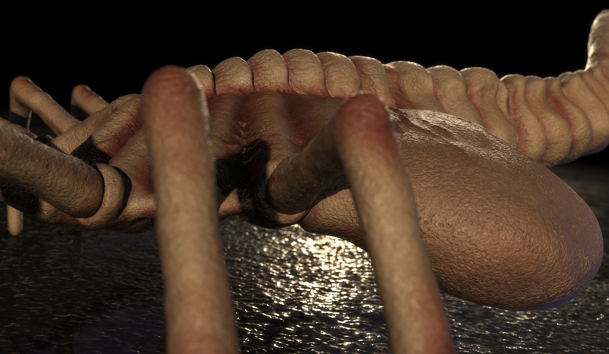 Facehugger 3