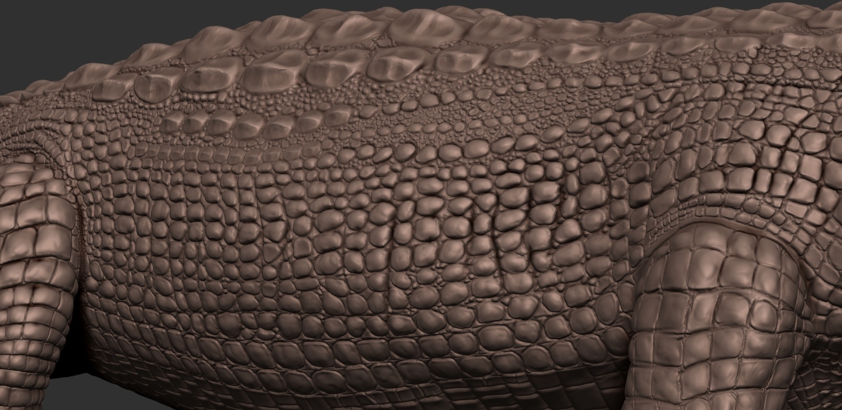 Croc_02