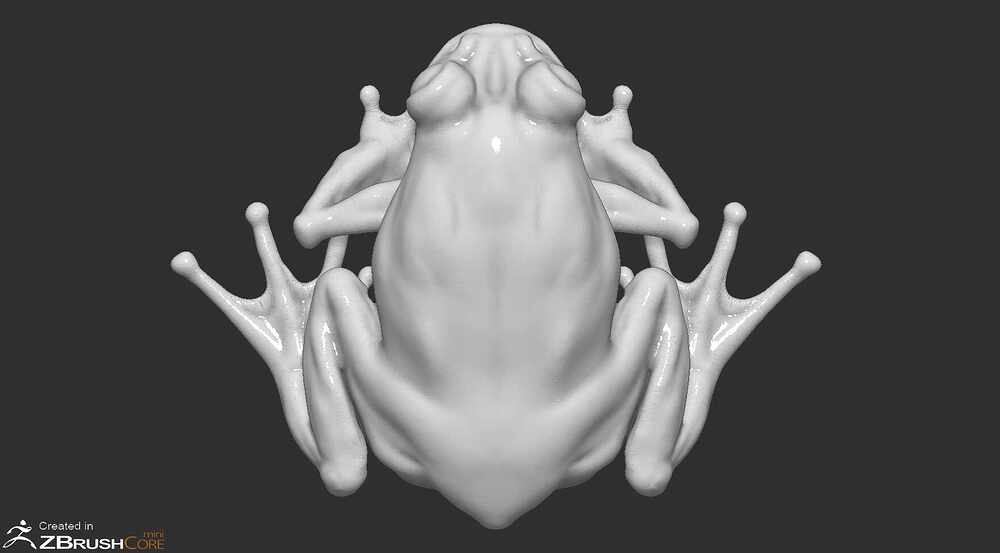 frog2