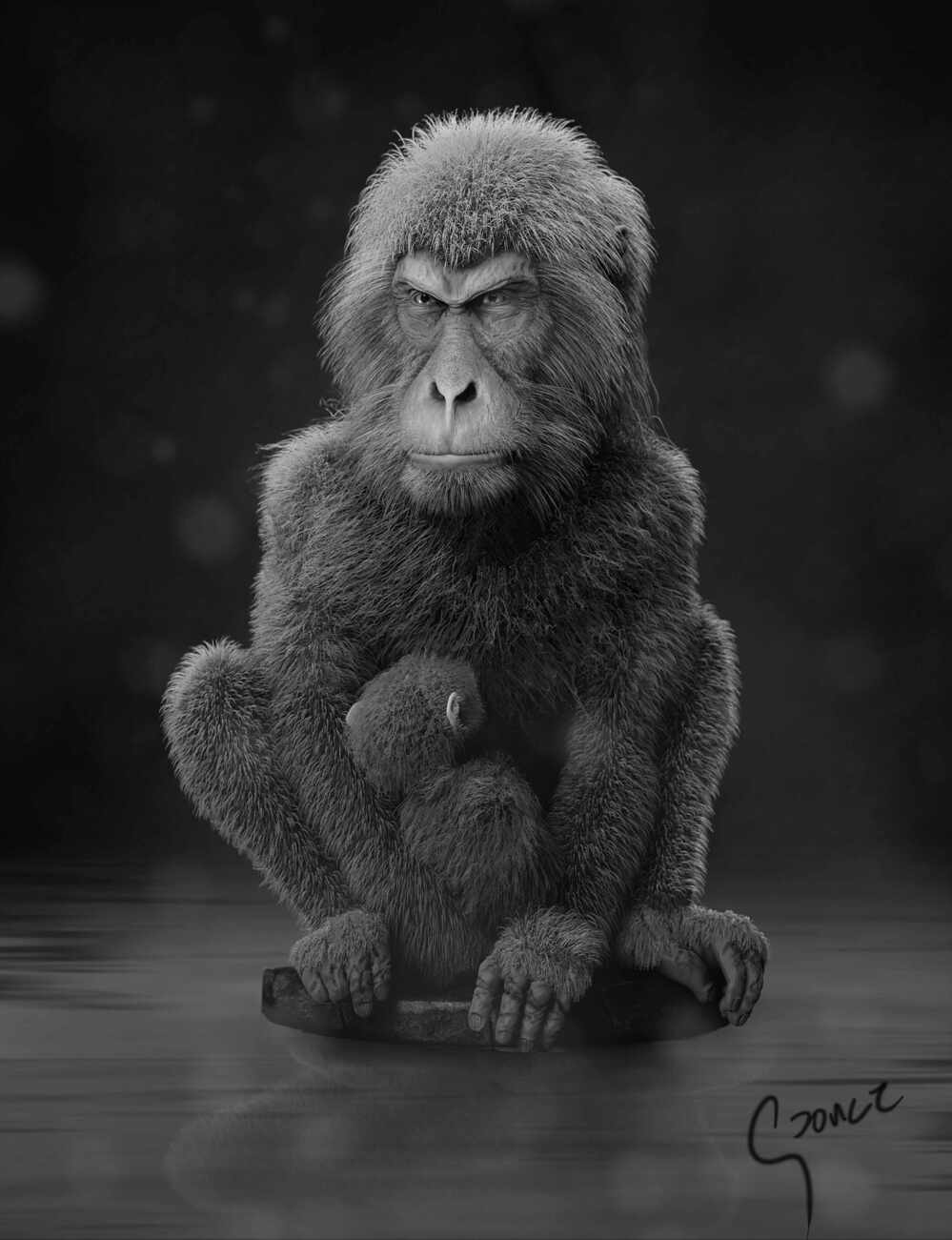 Macaque_002_2022