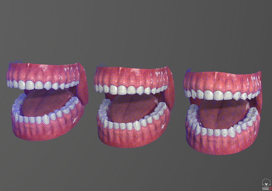 Toolbag_screenshot_02