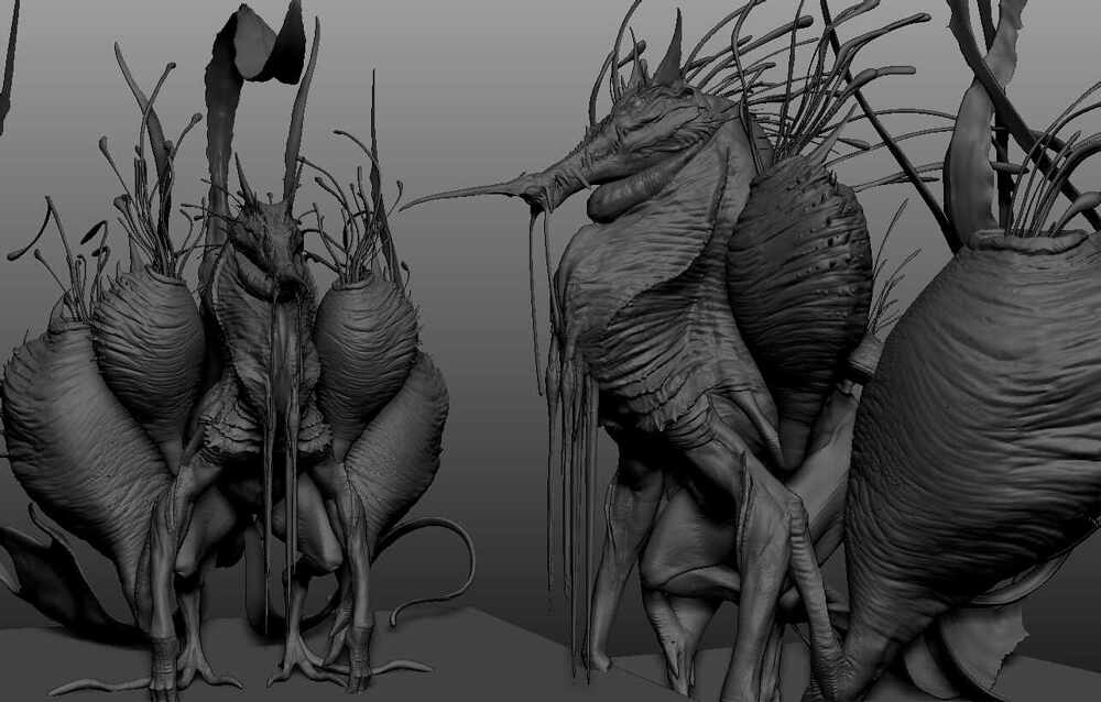 ZBrush Document