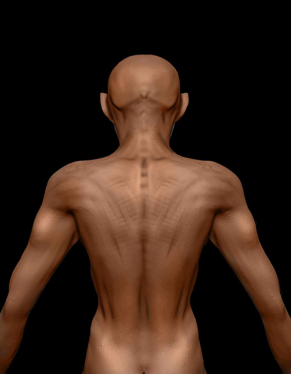 OldmanBack