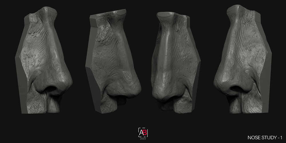 Nose Study_1