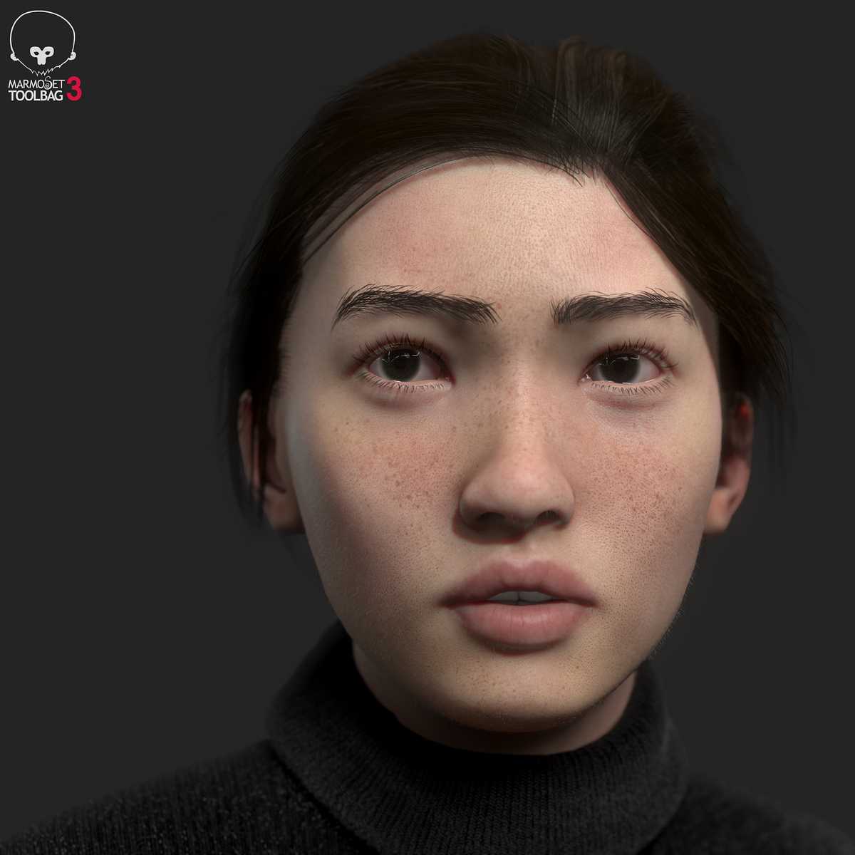 screenshot004