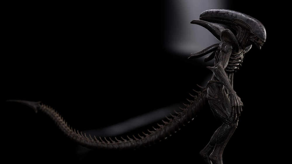 Render_01_E
