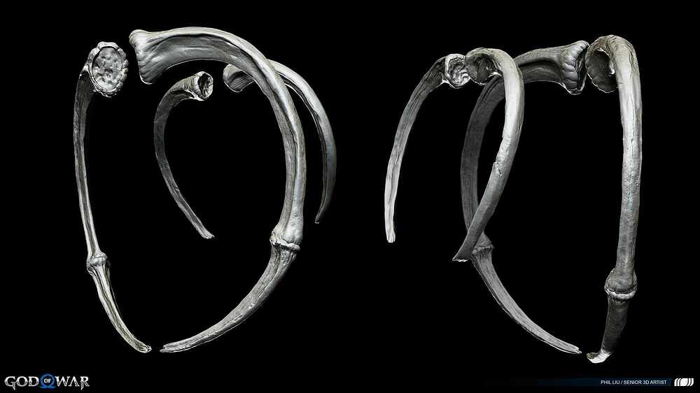 Bone6_Ribs copy 2