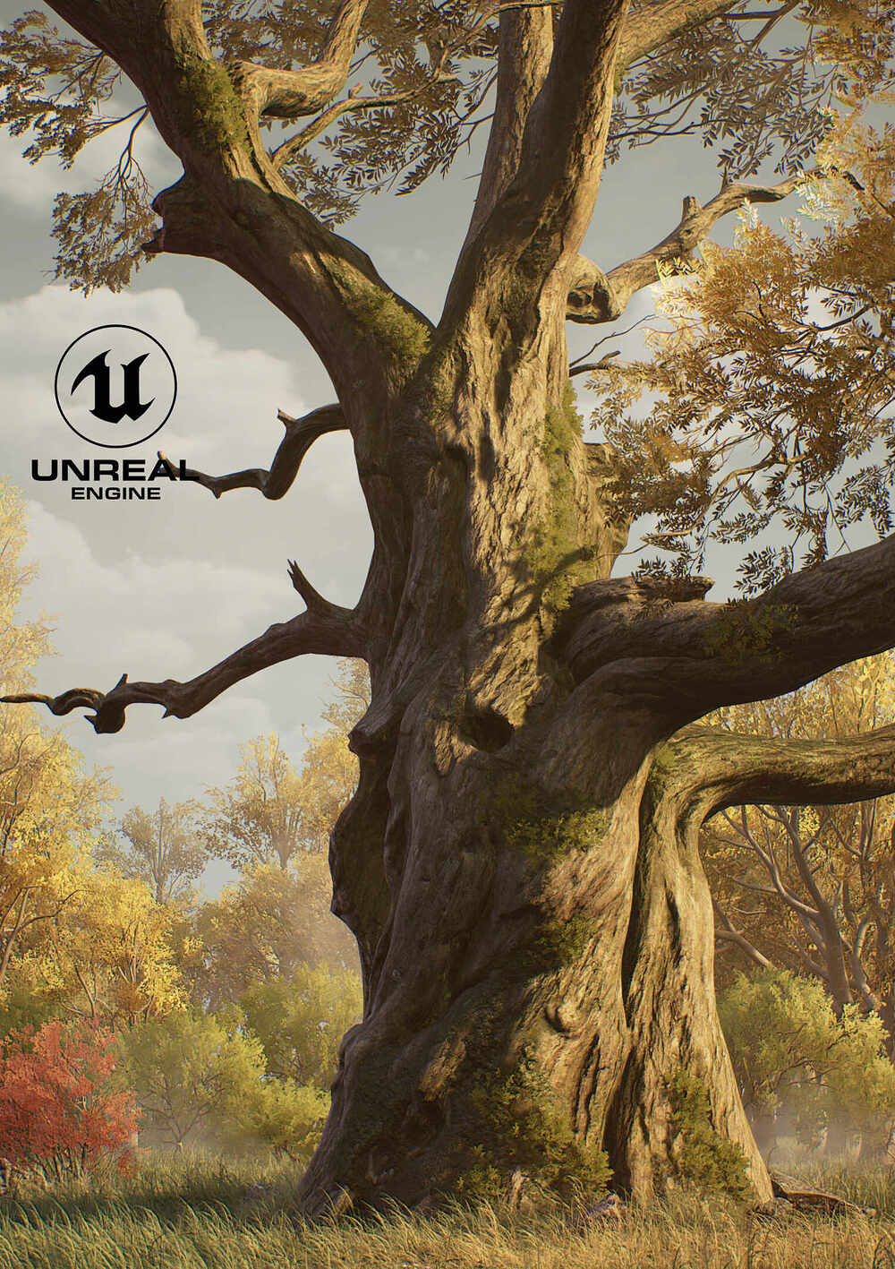 UE_TOD_Tree_Autumn_dusk01