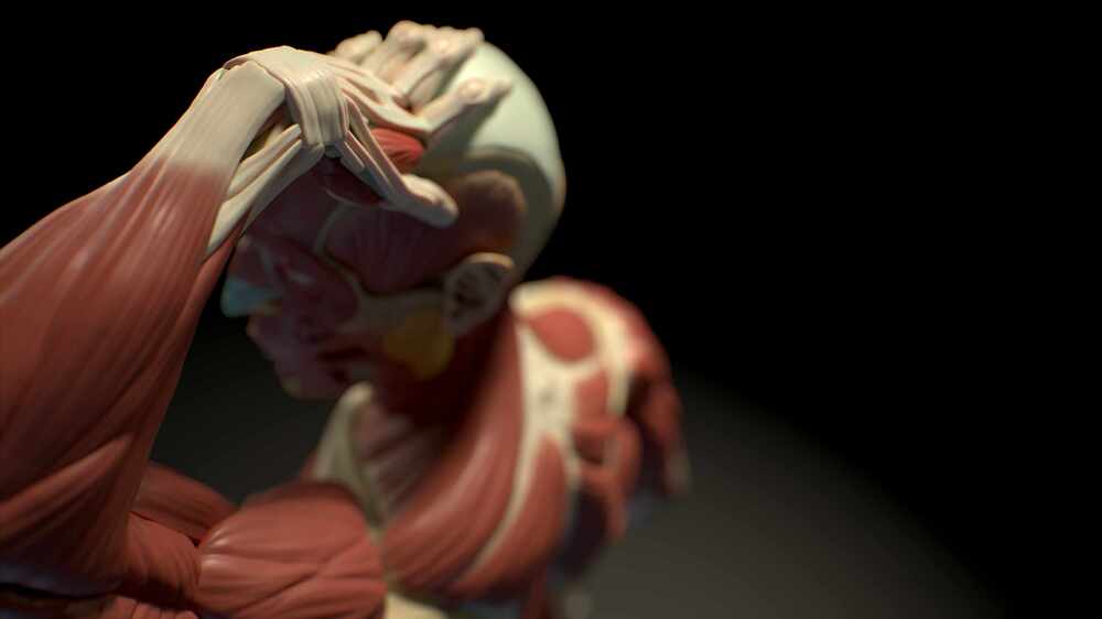 zEcorche2_Camera 5_002
