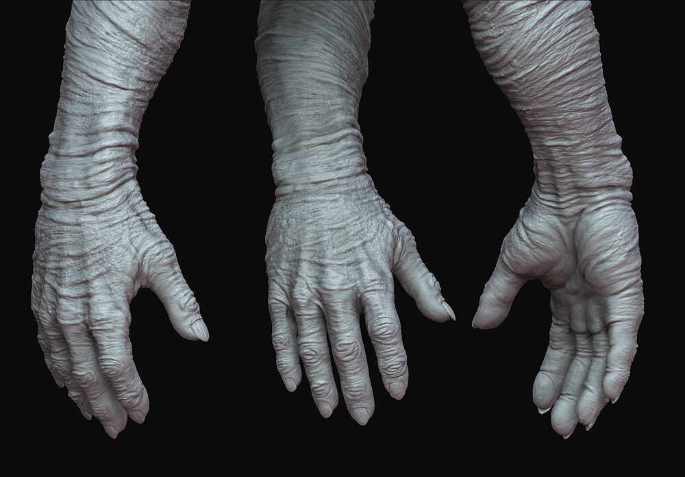Highpoly_Hands