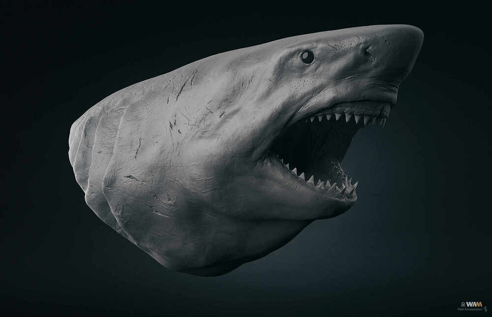 Megalodon_Render_Grey_01_Crop_2150_Web