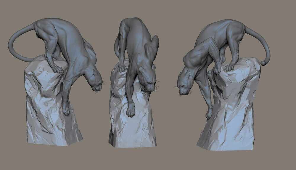 Puma_pose_1B