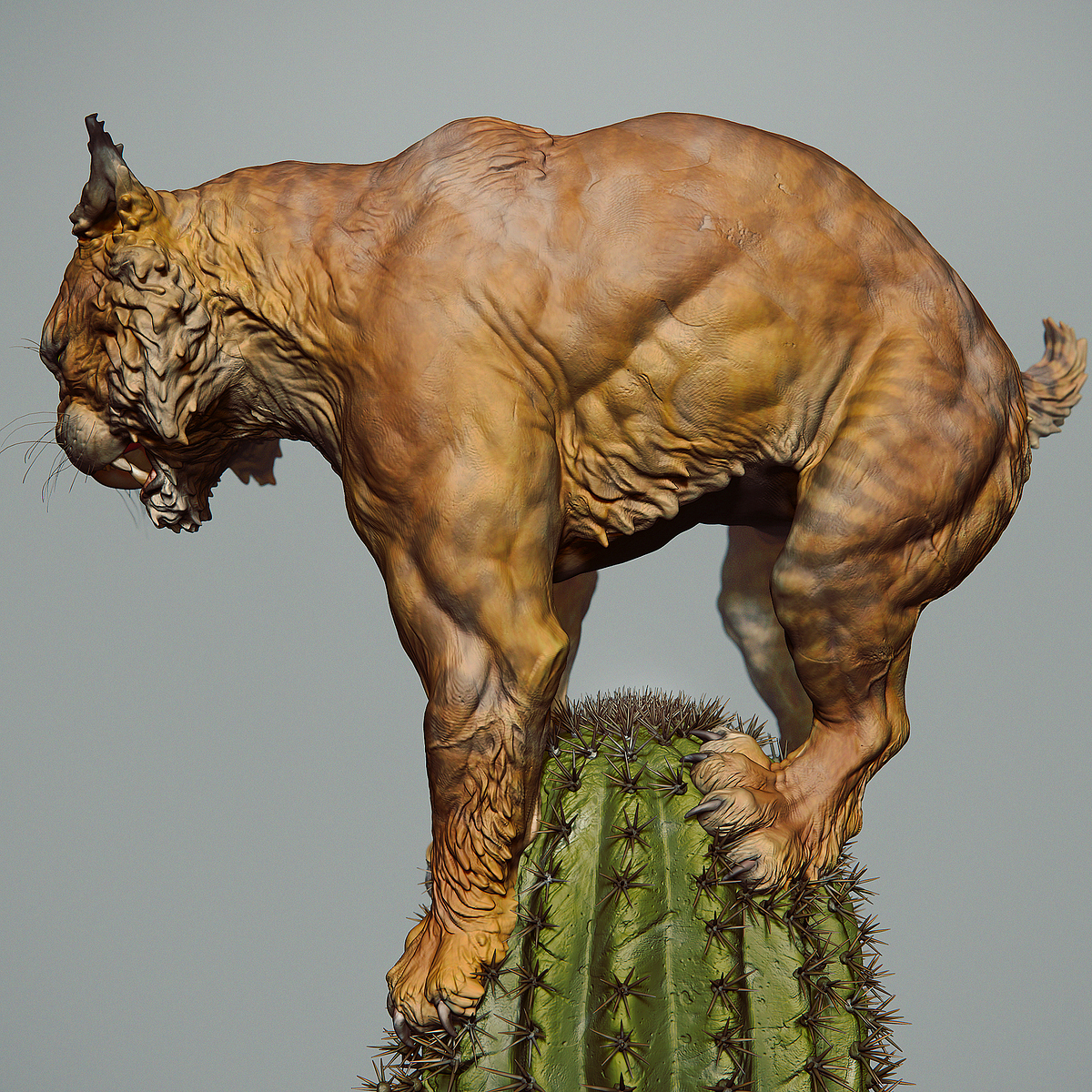 Lince_01