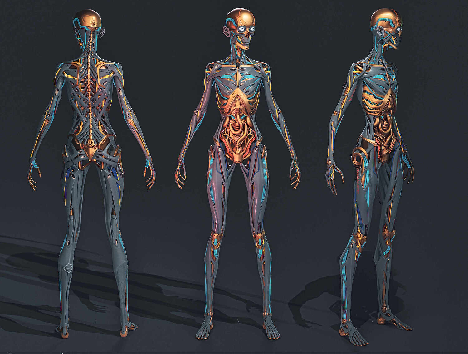 Cyborg anatomy WIP - ZBrushCentral