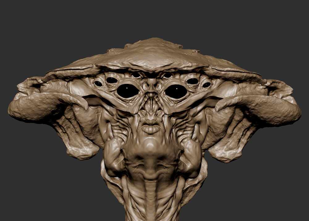 Seer_Closeup