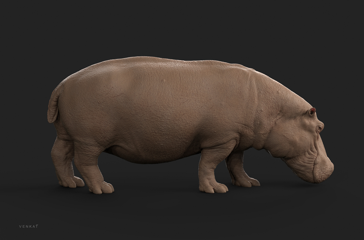 hippo_07_fx