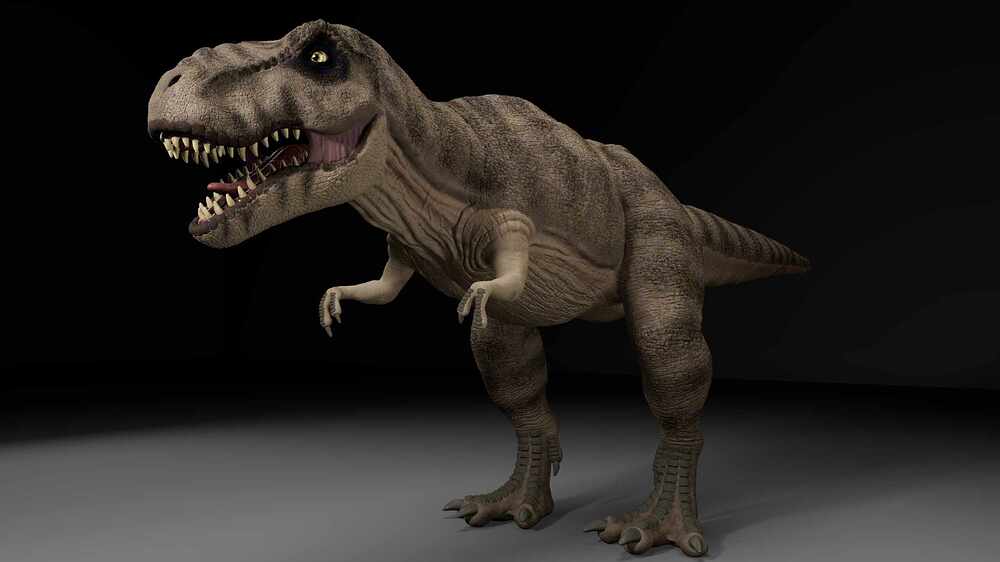 trex_2