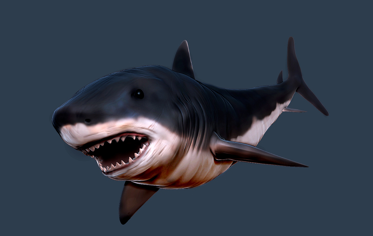 shard32