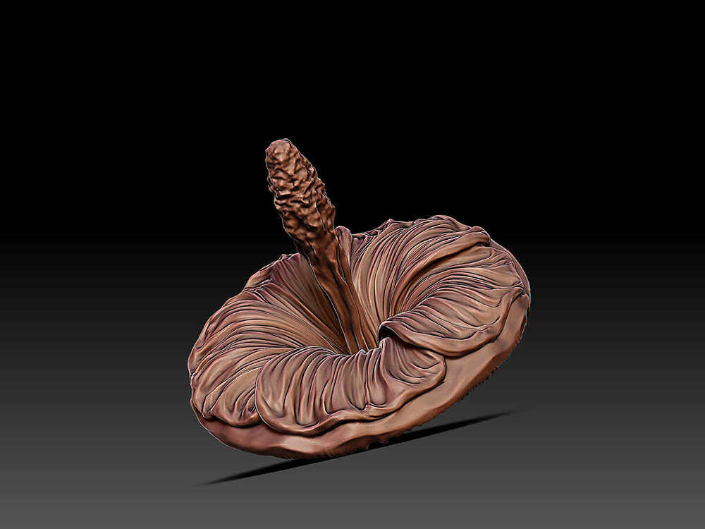 Mallow Sculpture - 1