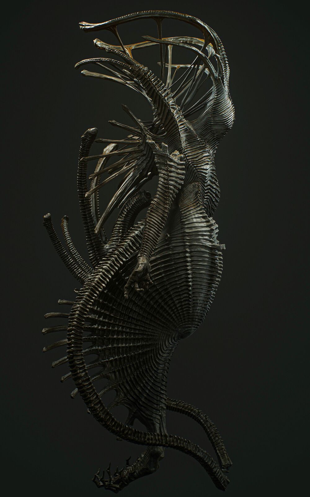Partially2_Cold_Symmetry_003