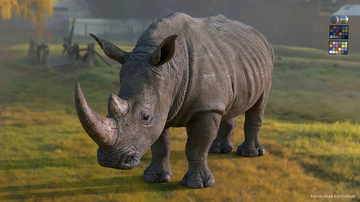 rhino_ldv_002