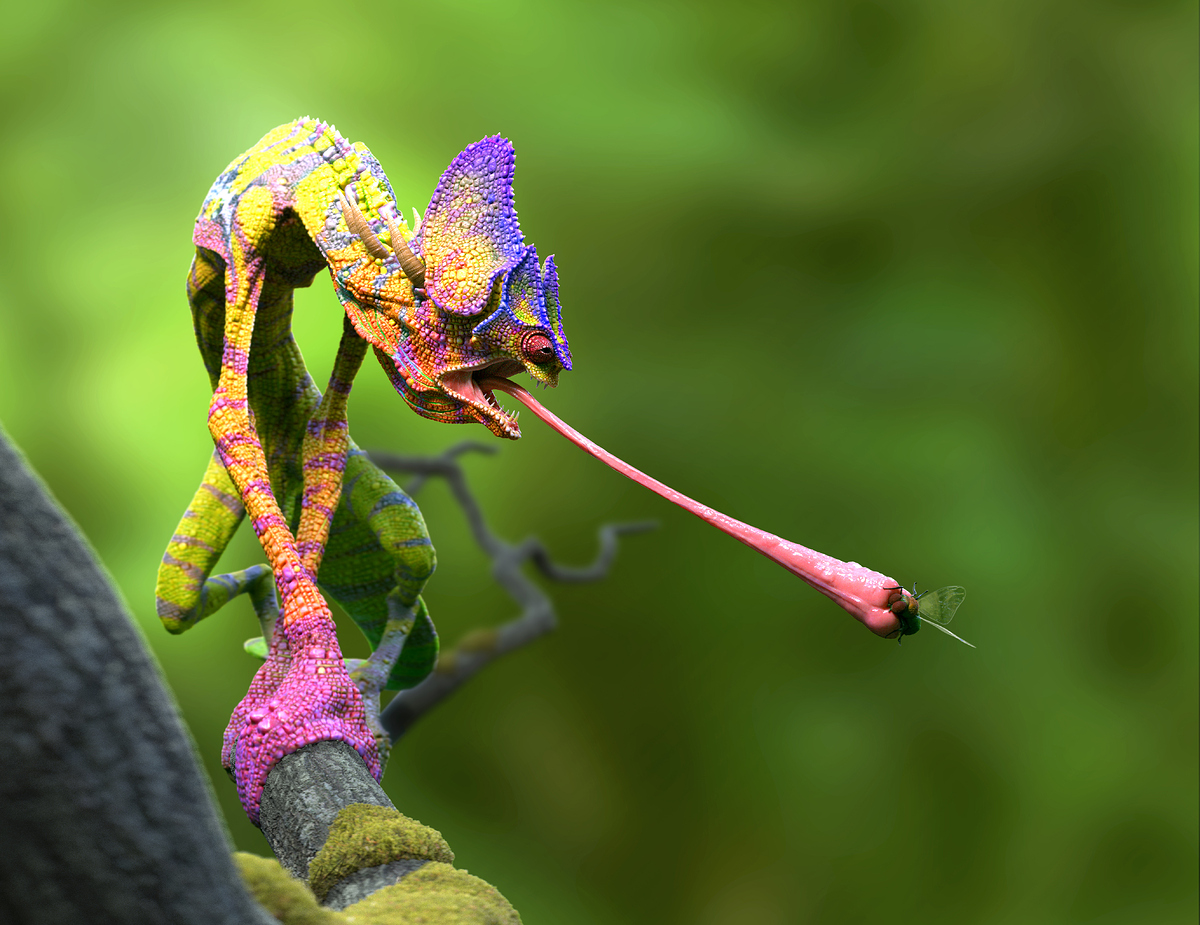 Cameleon_03_PostLge