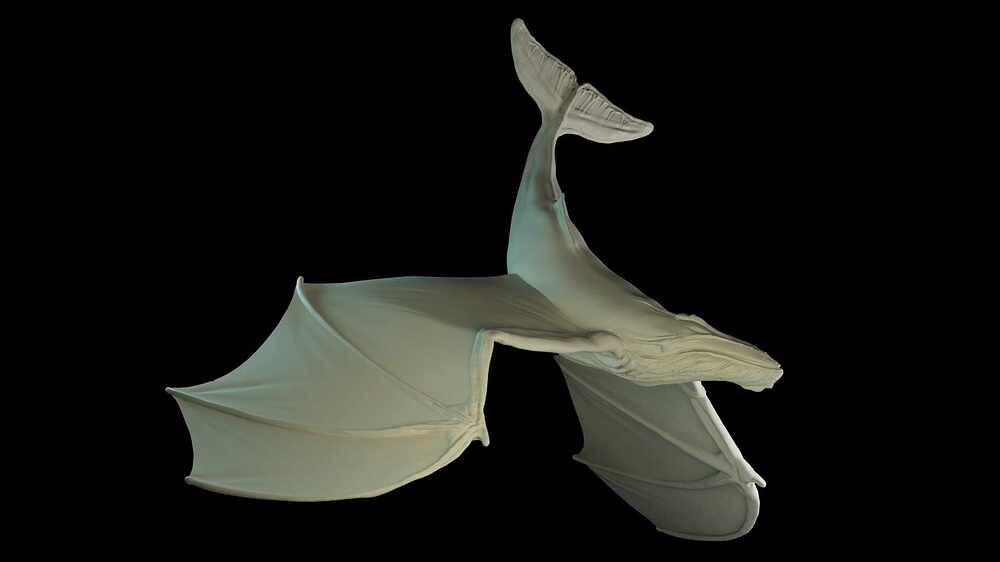 whale_render_01