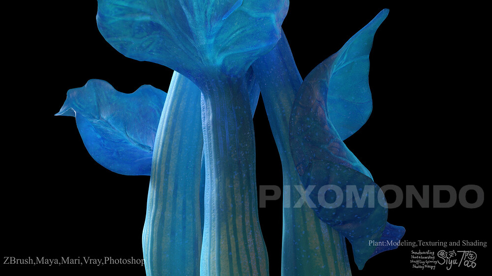 ShowreelLVP_00185