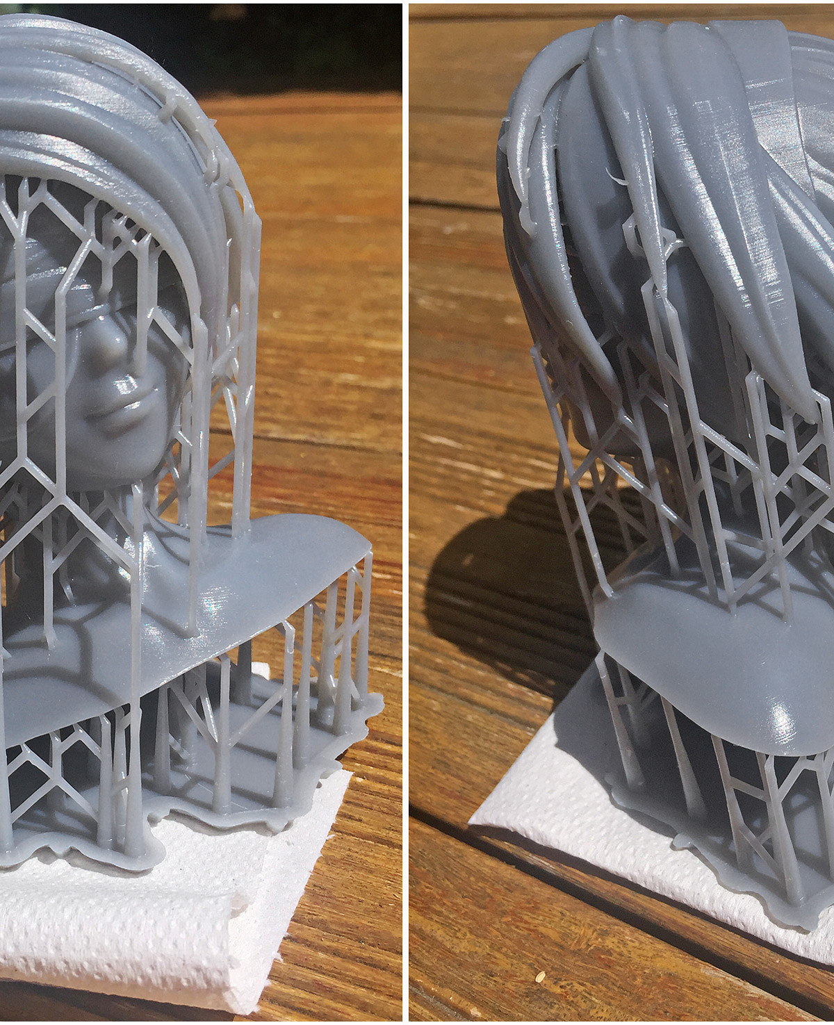 SLA_head_02.jpg