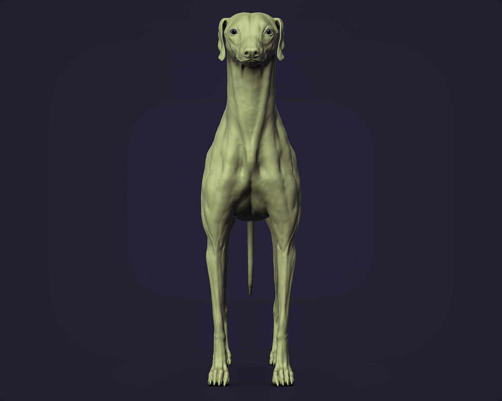 render_10