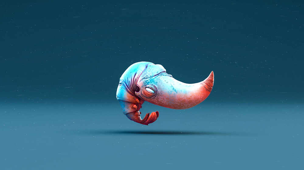 1Shrimp_01
