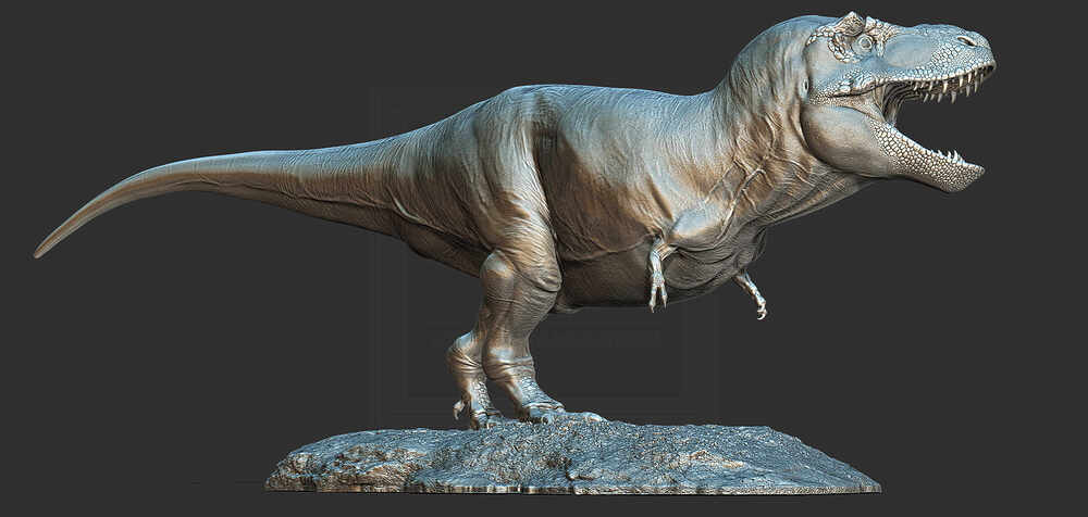 ZBrush Document14