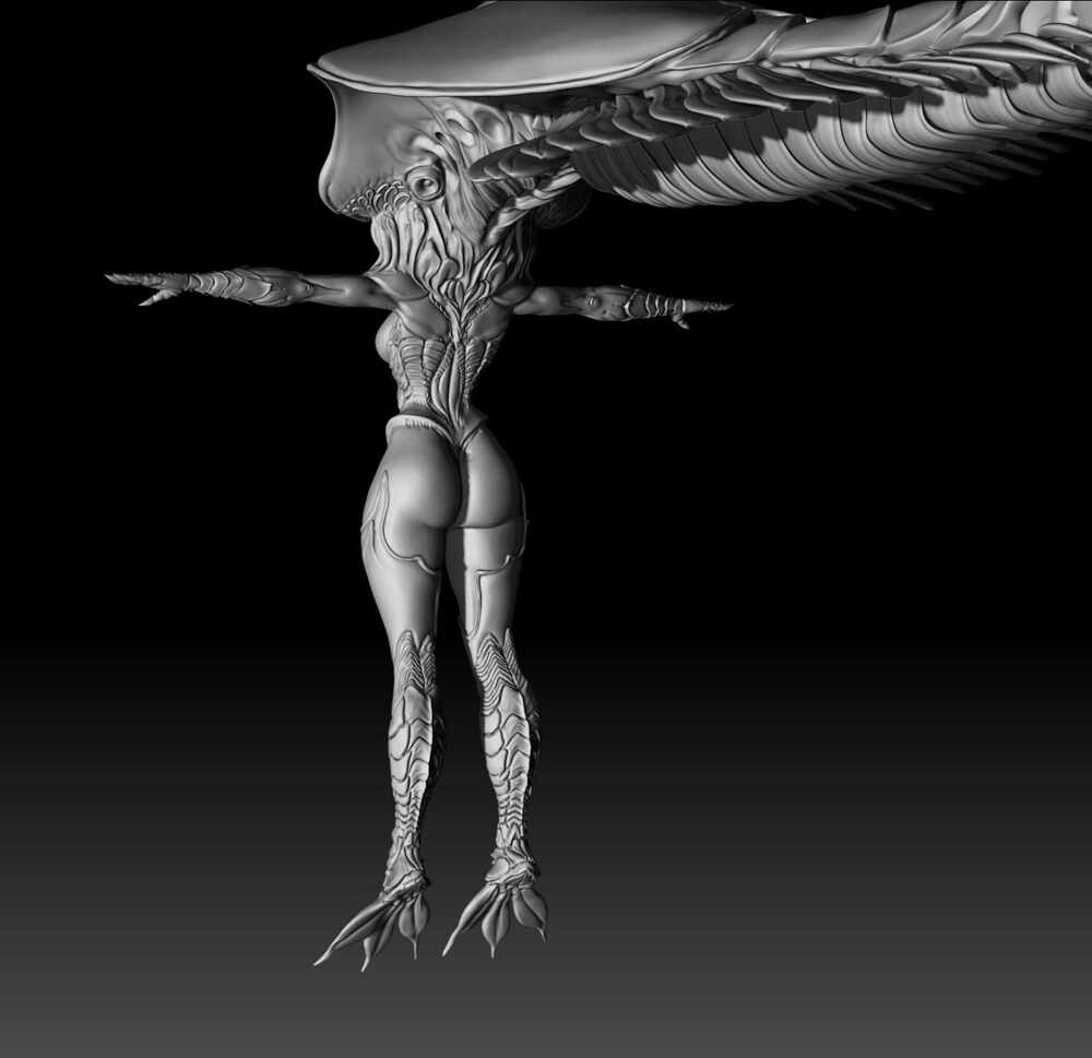 Prawn_Girl_007